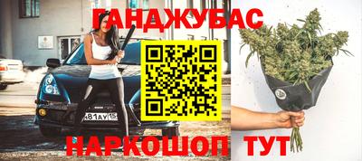 крисы Бийск