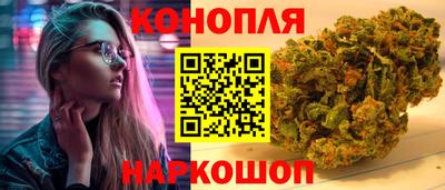 прущие крисы Будённовск