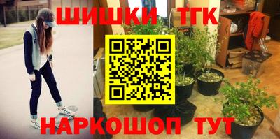 дживик Бийск