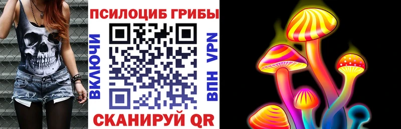 Псилоцибиновые грибы MAGIC MUSHROOMS купить сайты Волгоград