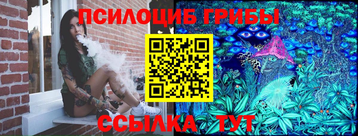 Псилоцибиновые грибы Psilocybe  Волгоград  Псилоцибиновые грибы мухоморы 